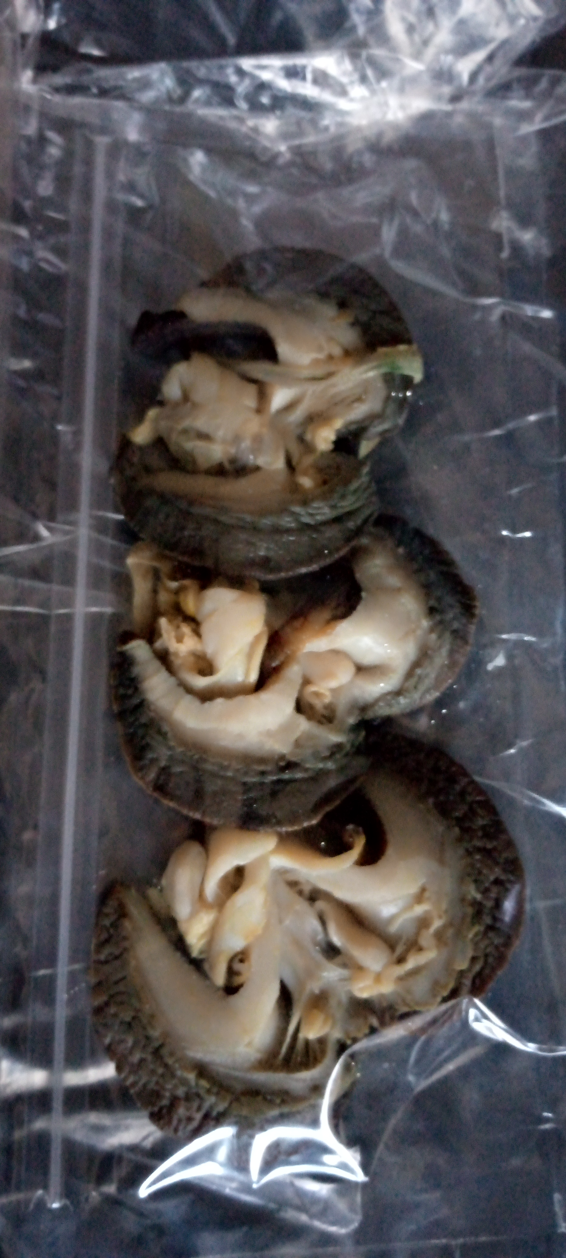  Frozen Jumbo size snails by  Crissy Foods And Agro Limited 

Jumbo size snails

Our business can supply large size  snails in large quantity

Weighing anywhere between 4-7 pounds, they’re caught fresh and kept healthy. 