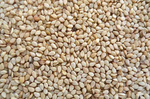  Sesame Seed (Mixture) Brown & Black 