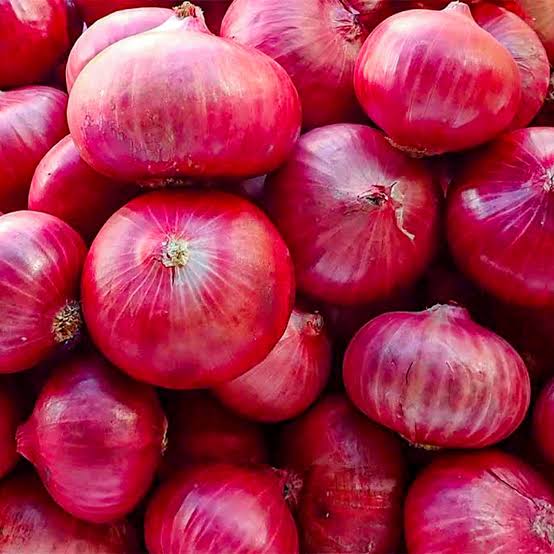  Fresh Onion Sacs 